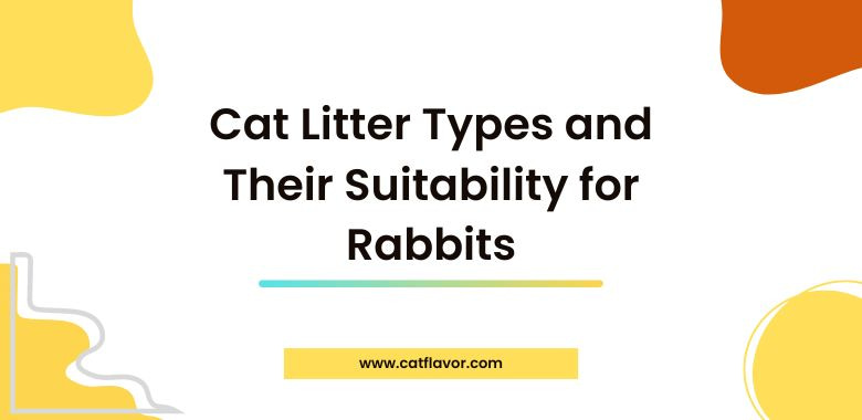 Cat Litter Types and Their Suitability for Rabbits