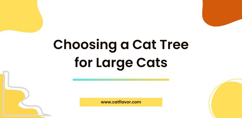 Factors to Consider When Choosing a Cat Tree for Large Cats