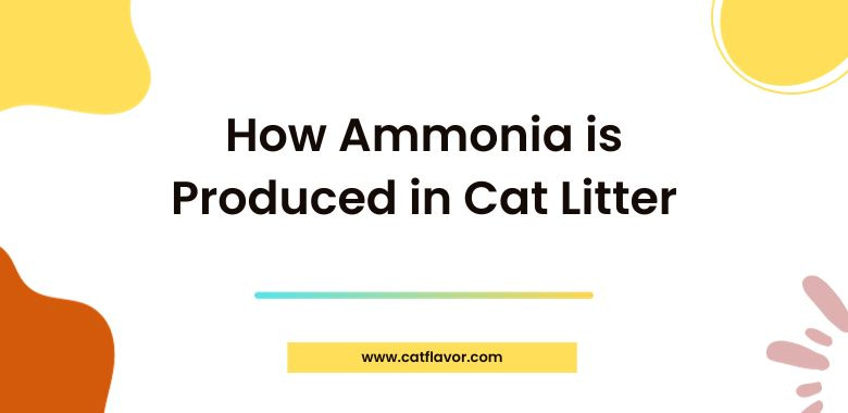 How Ammonia is Produced in Cat Litter