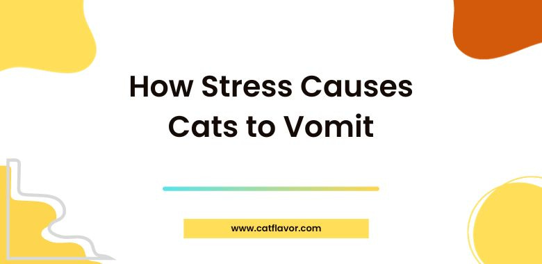 How Stress Causes Cats to Vomit