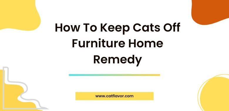 How To Keep Cats Off Furniture Home Remedy