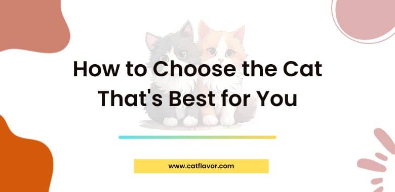 How to Choose the Cat That's Best for You