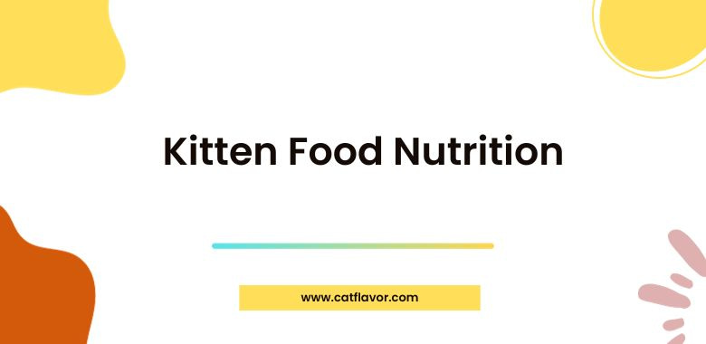 Kitten Food Nutrition