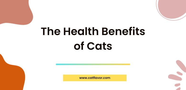 The Health Benefits of Cats