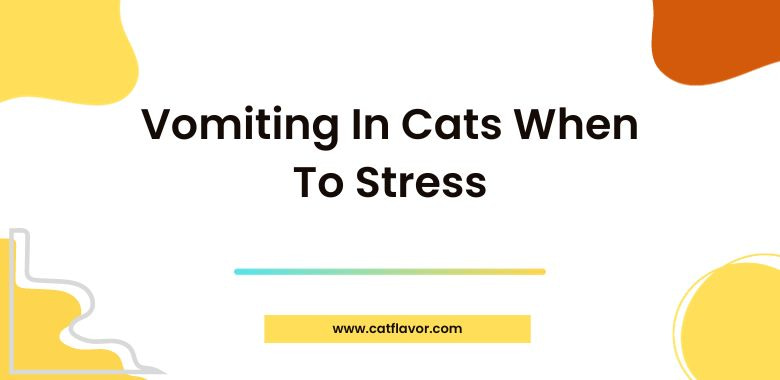 Vomiting In Cats When To Stress