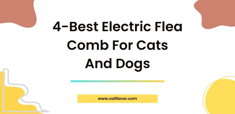 4-Best Electric Flea Comb For Cats And Dogs