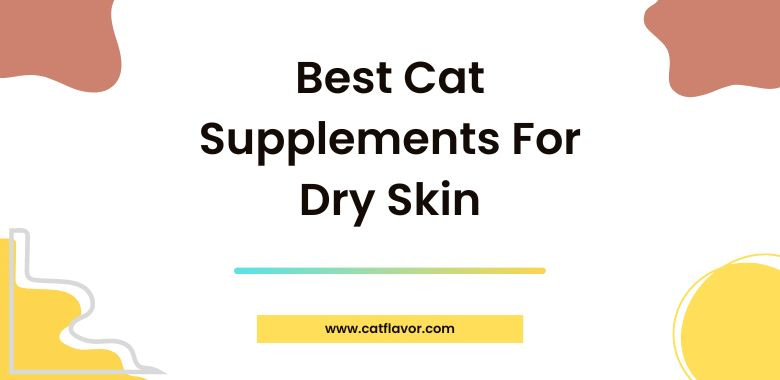 5-Best Cat Supplements For Dry Skin  Oils and Multivitamins for Cat