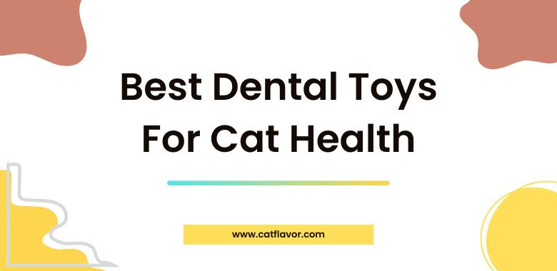 Best Dental Toys For Cat Health