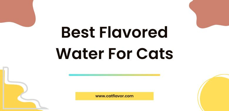 Best Flavored Water For Cats