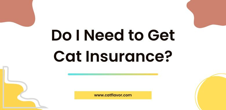 Do I Need to Get Cat Insurance