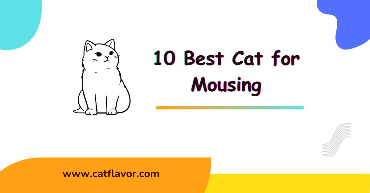 Best Cat for Mousing
