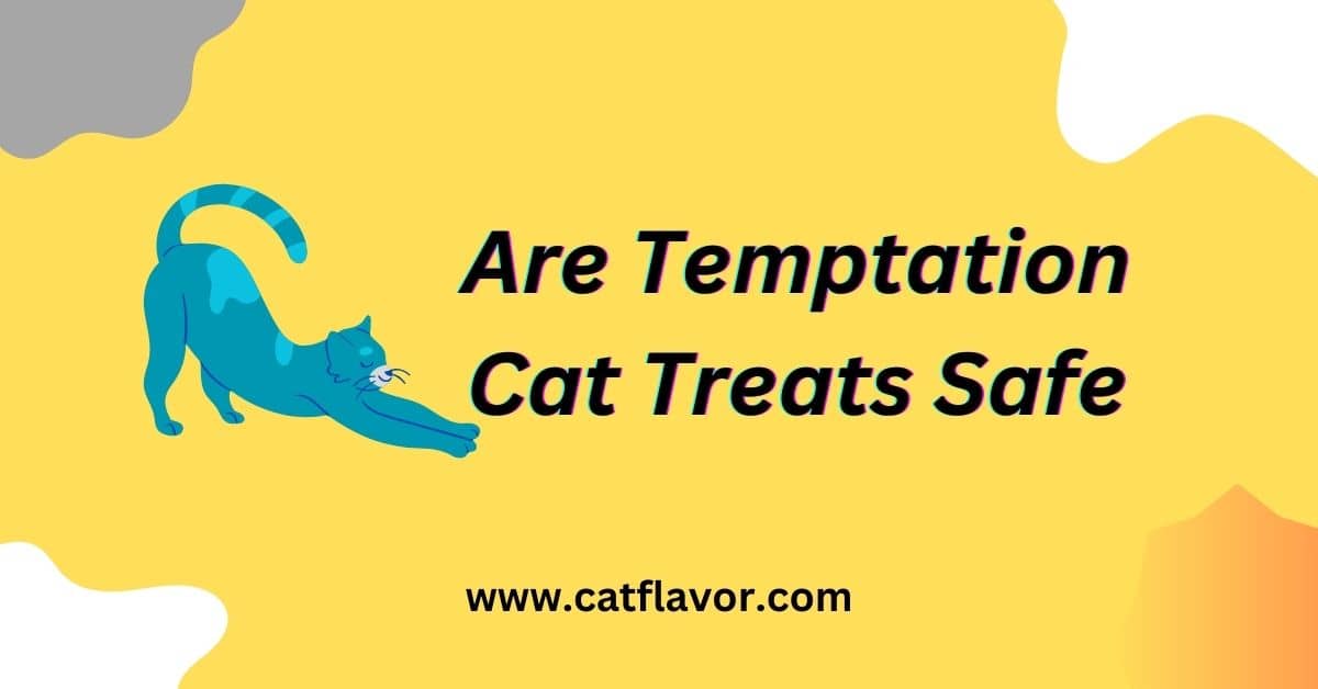 Are Temptation Cat Treats Safe