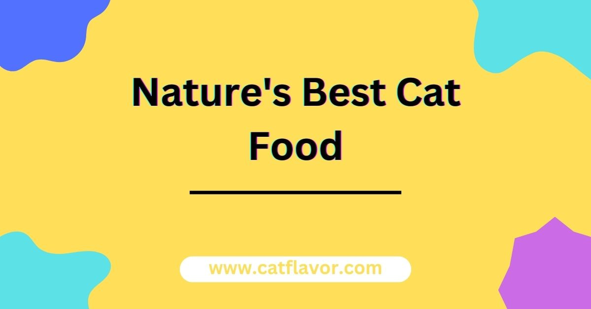 Nature's Best Cat Food