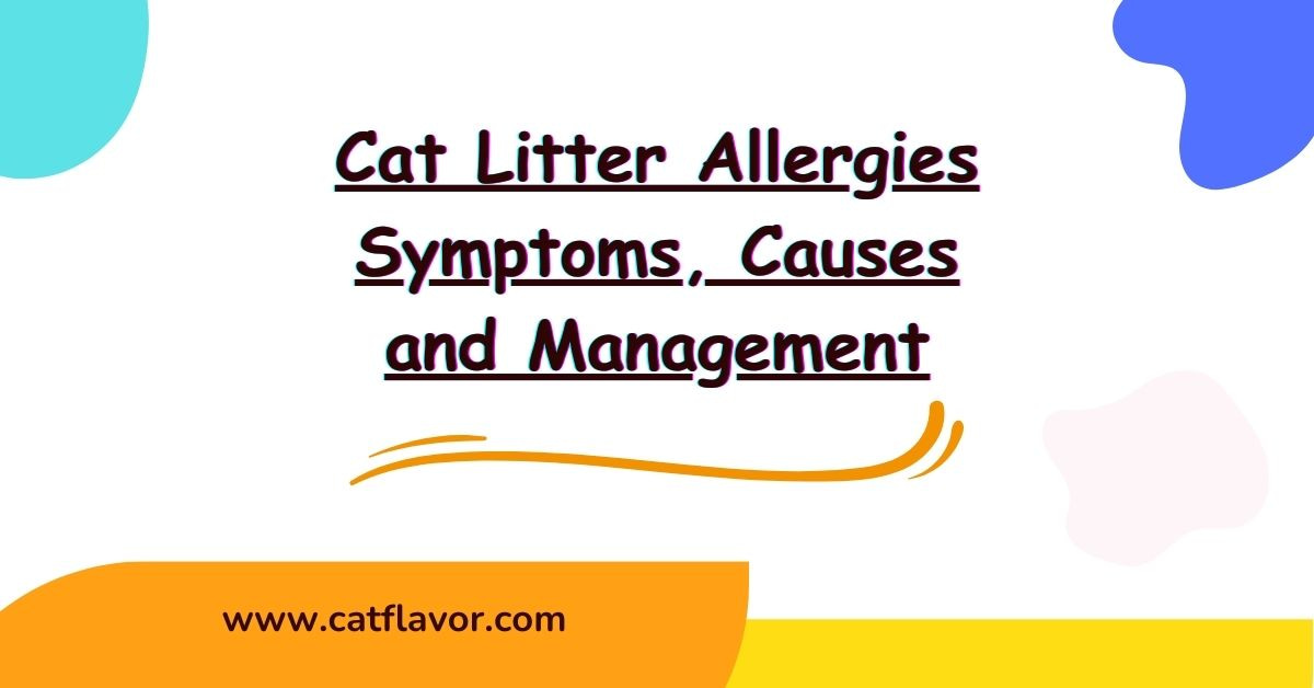 Cat Litter Allergies Symptoms, Causes and Management