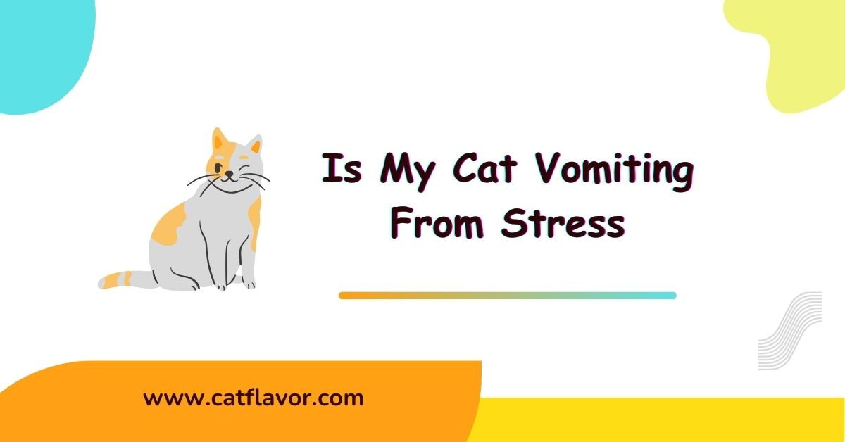 Cat Vomiting From Stress