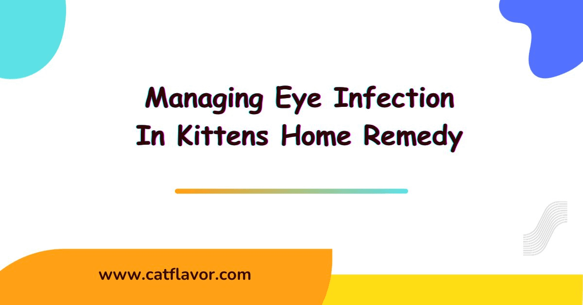 Eye Infection In Kittens Home Remedy