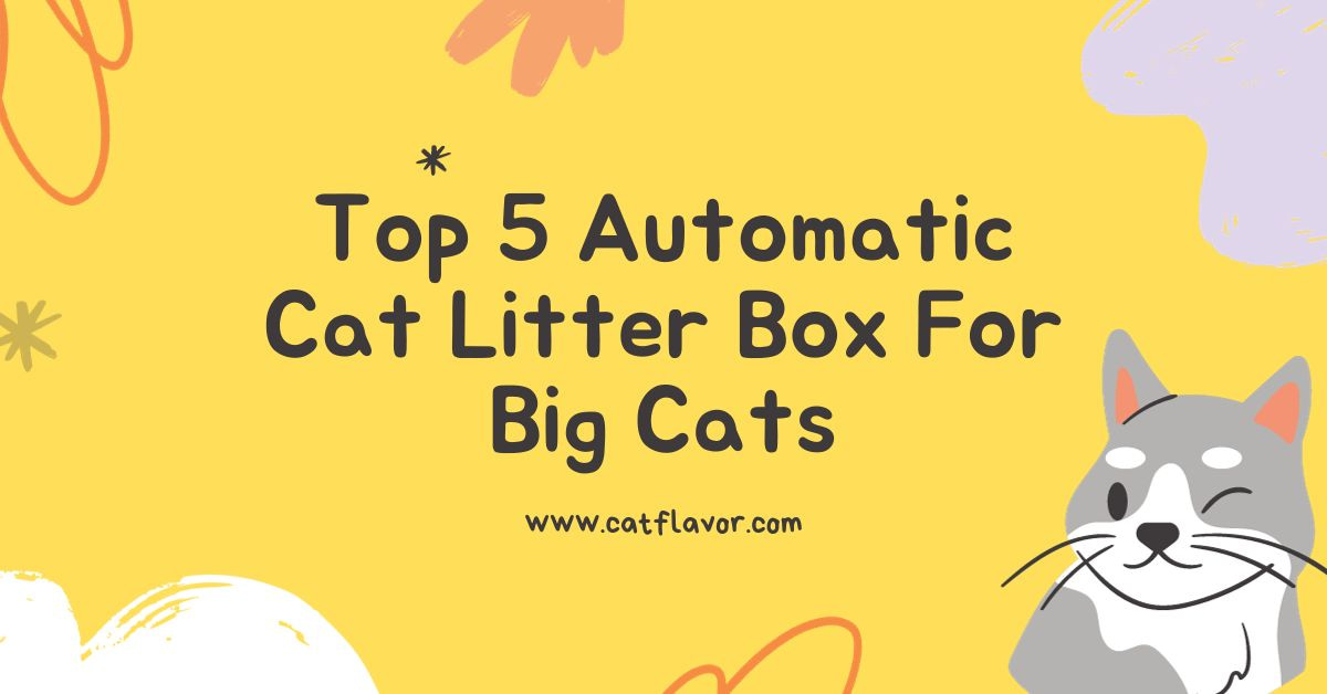Top 5 Automatic Cat Litter Box For Big Cats