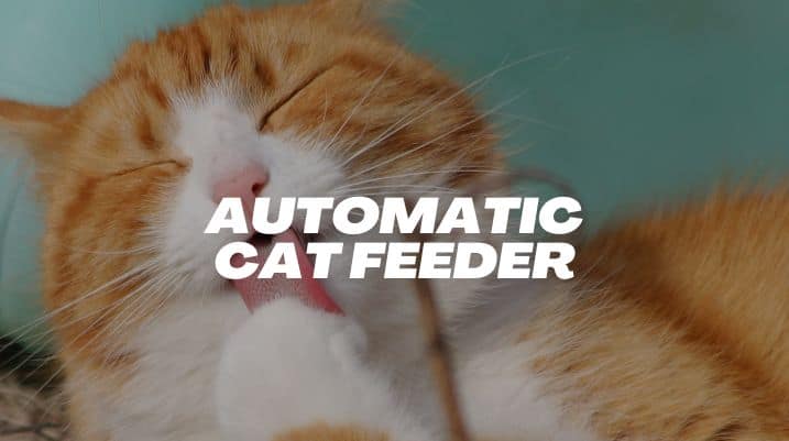 Automatic Cat Feeder Product Reviews