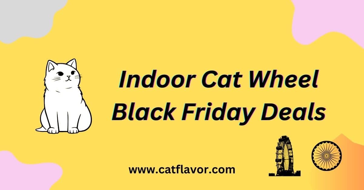 Indoor Cat Wheel Black Friday