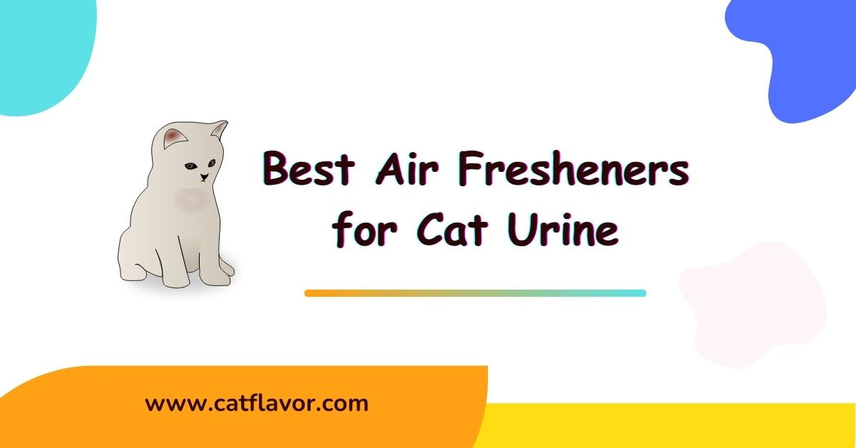 Best Air Fresheners for Cat Urine