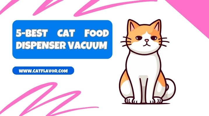 Best Cat Food Dispenser Vacuum