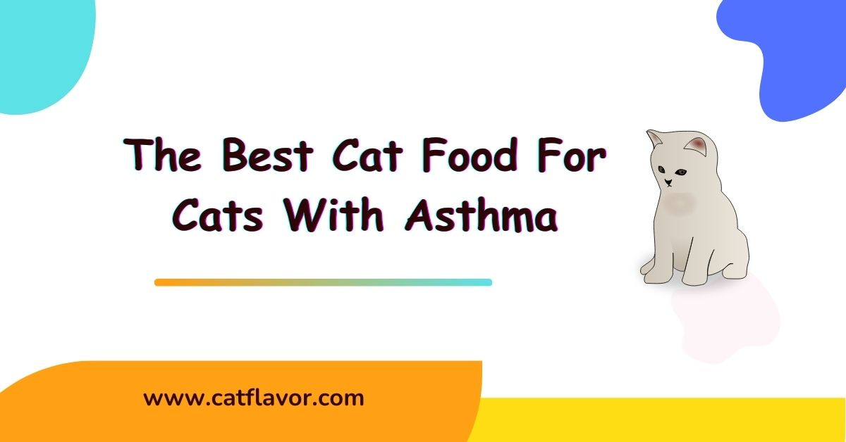 Best Cat Food For Cats With Asthma