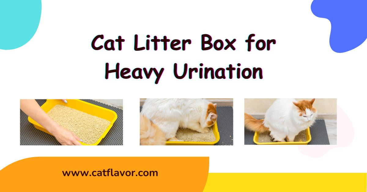 Best Cat Litter Box for Heavy Urination