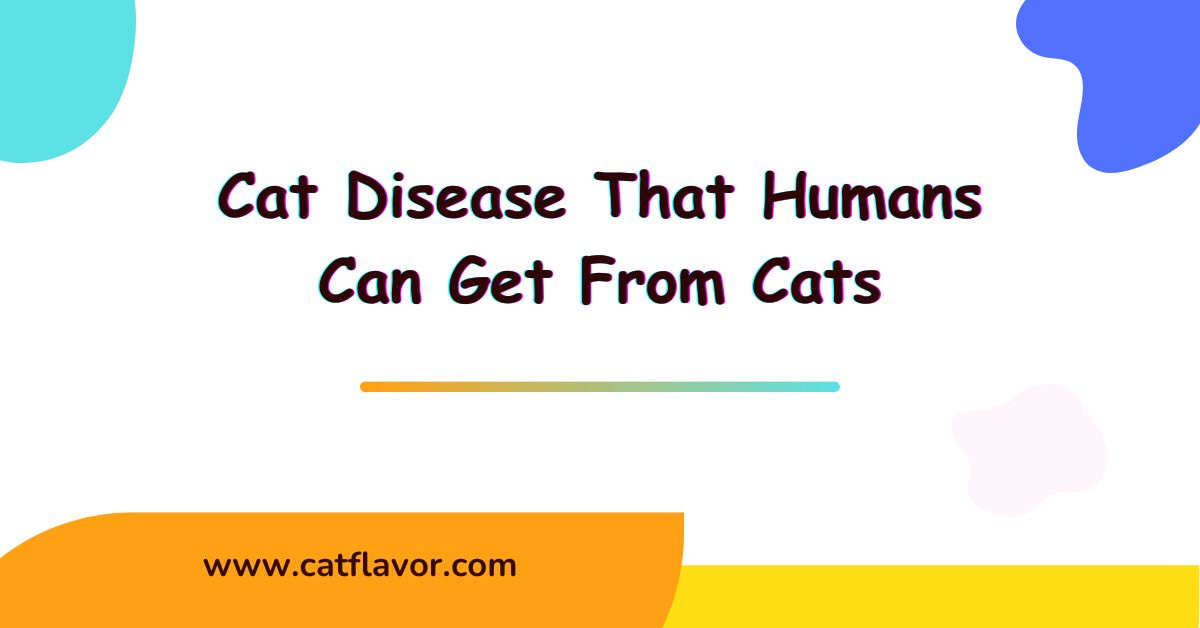 Cat Disease That Humans Can Get From Cats