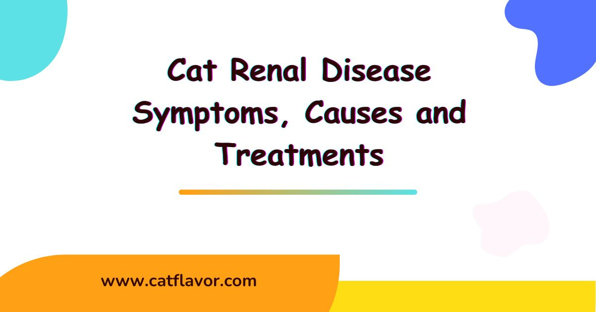 Cat Renal Disease Symptoms,