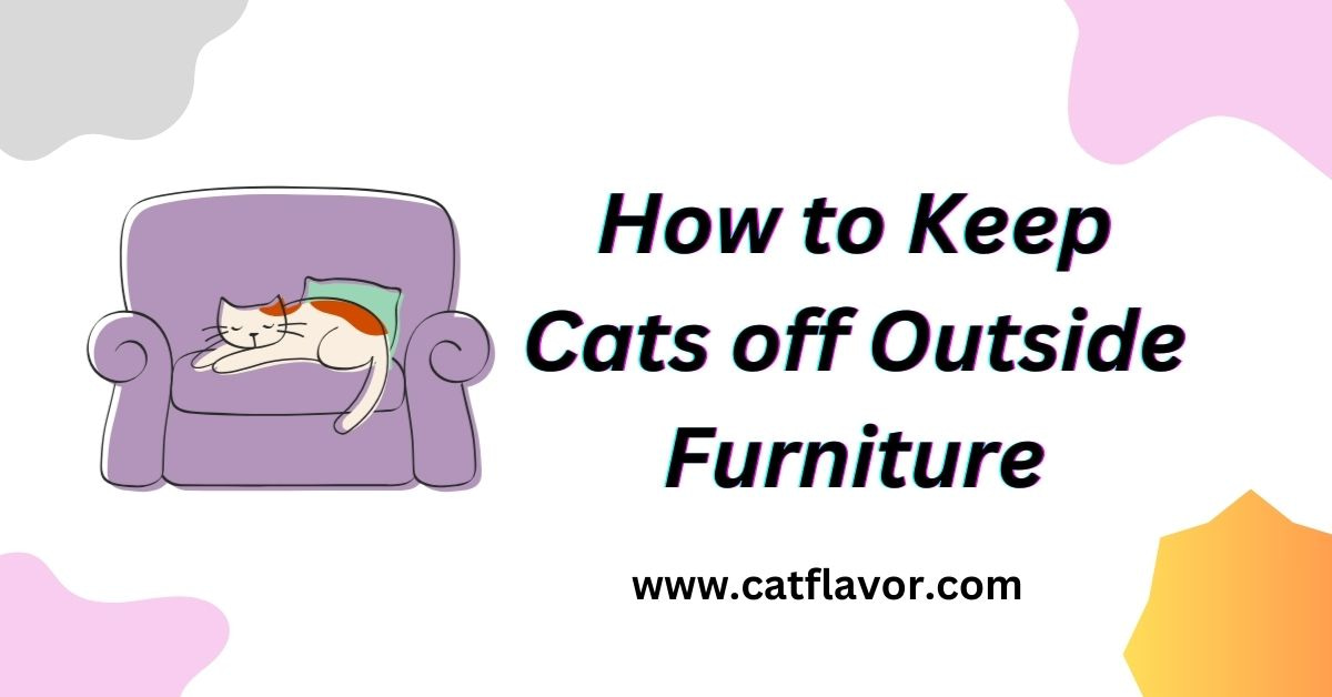 How to Keep Cats off Outside Furniture