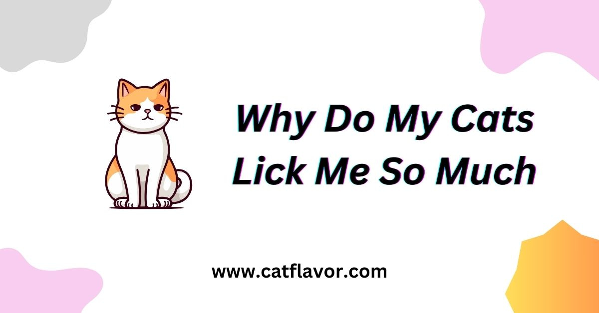 Why Do My Cats Lick Me So Much