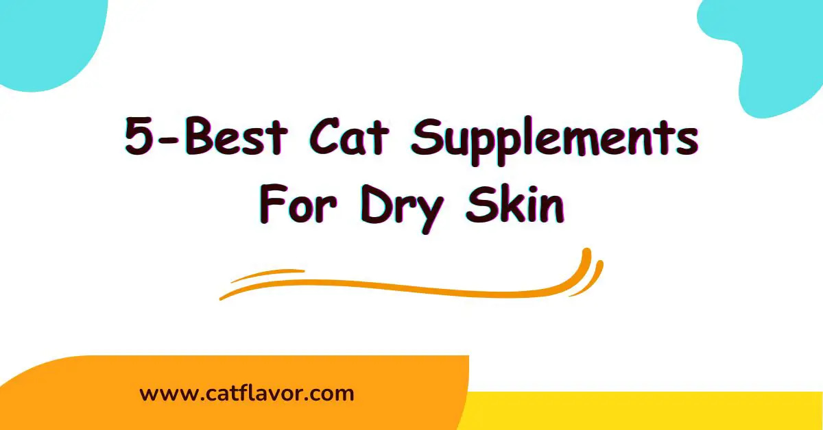 Best Cat Supplements For Dry Skin