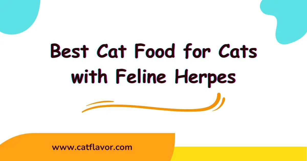 Best Cat Food for Cats with Feline Herpes
