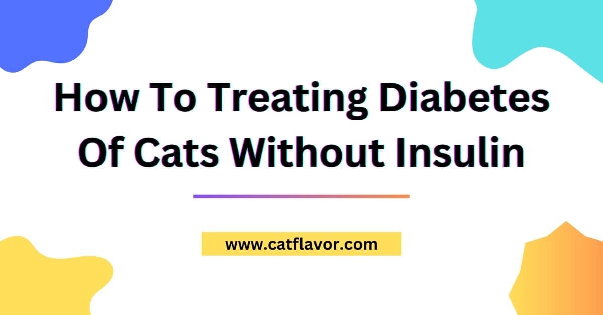 How To Treating Diabetes Of Cats Without Insulin
