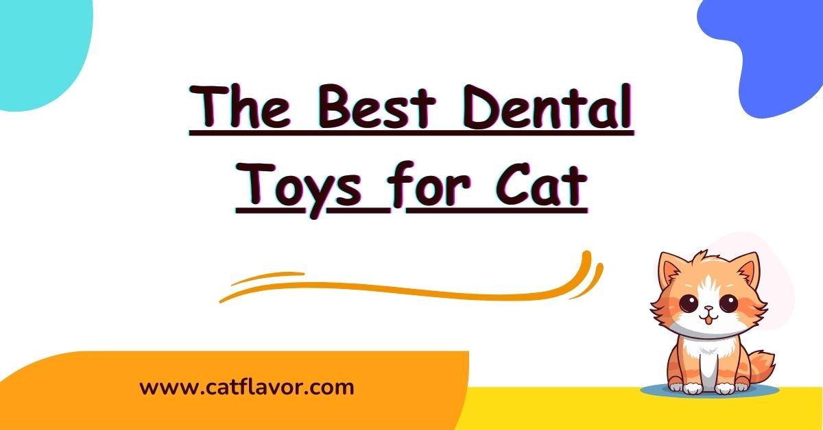 The Best Dental Toys for Cat