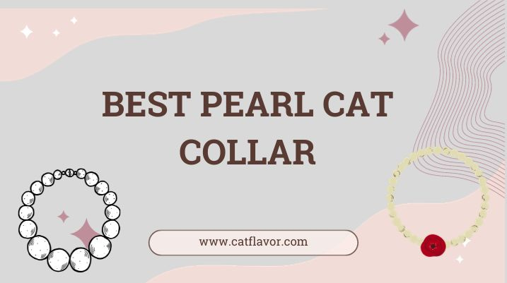 Best Pearl Cat Collar