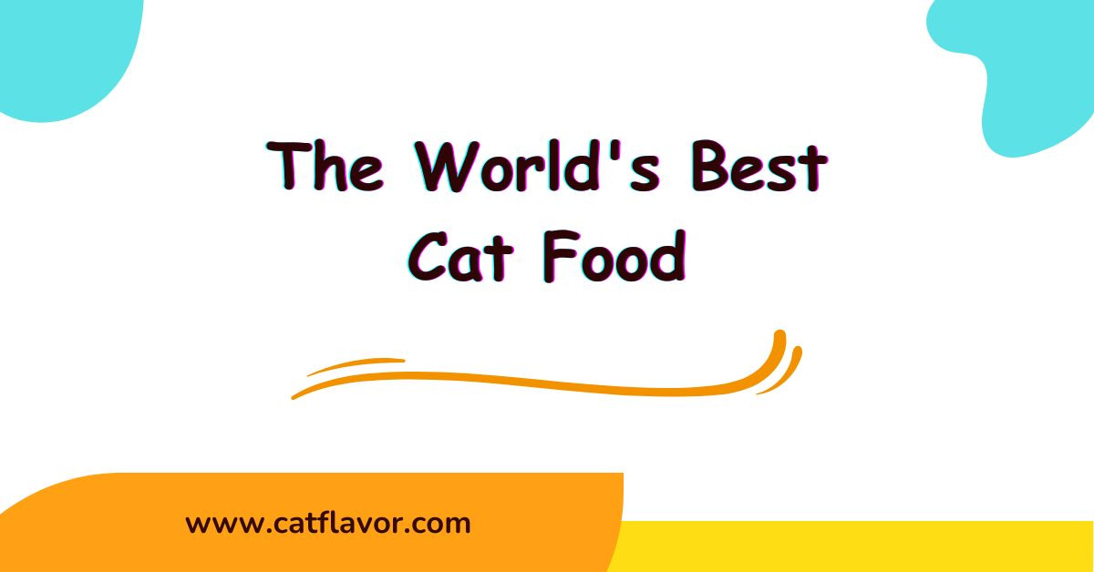 The World's Best Cat Food