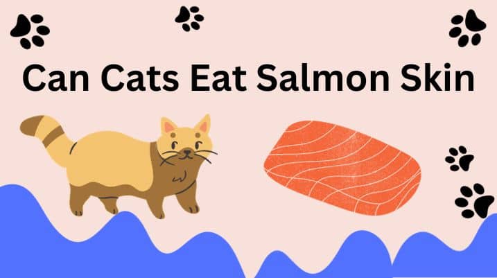 Can Cats Eat Salmon Skin