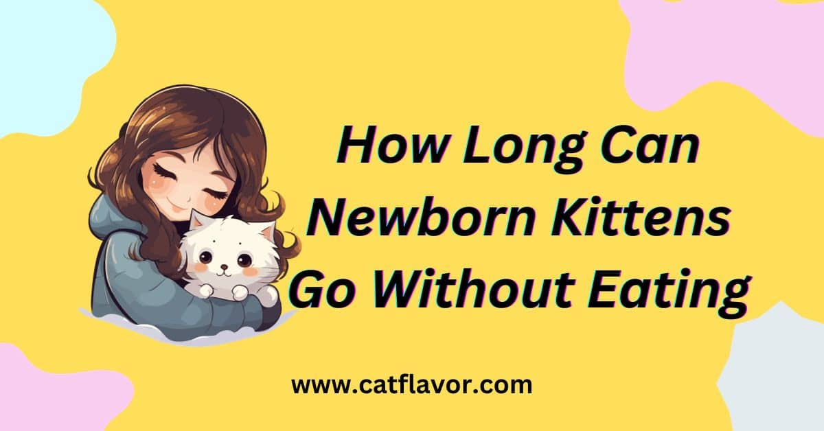 How Long Can Newborn Kittens Go Without Eating