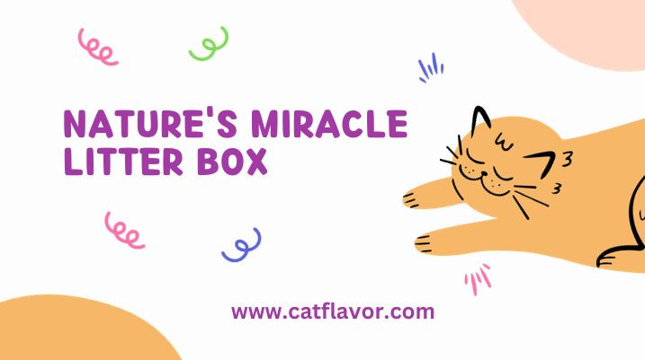 Nature's Miracle Litter Box