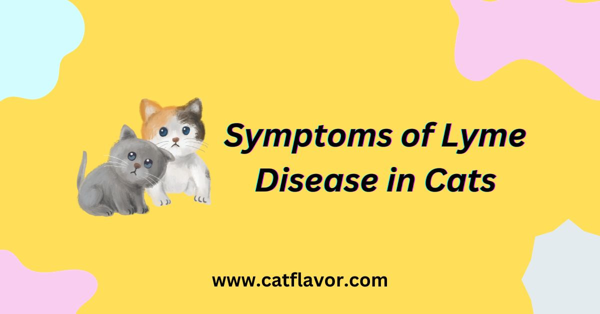 Symptoms of Lyme Disease in Cats