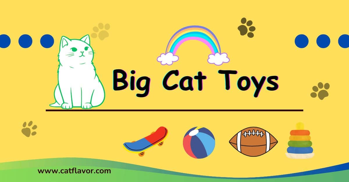 best big cat toys