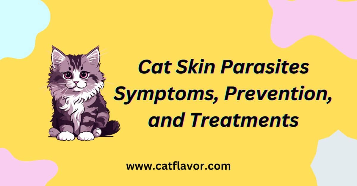 Cat Skin Parasites