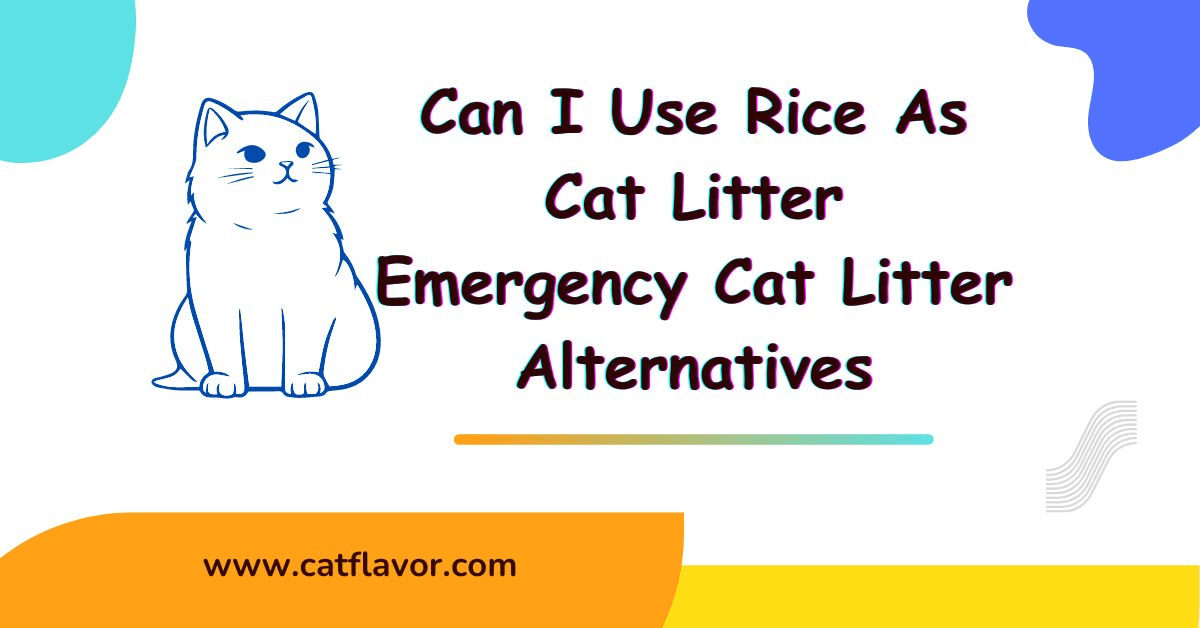 Can I Use Rice As Cat Litter