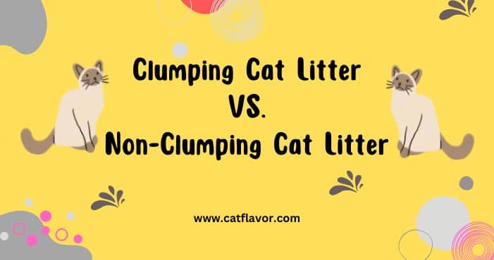Clumping vs. Non-Clumping Cat Litter