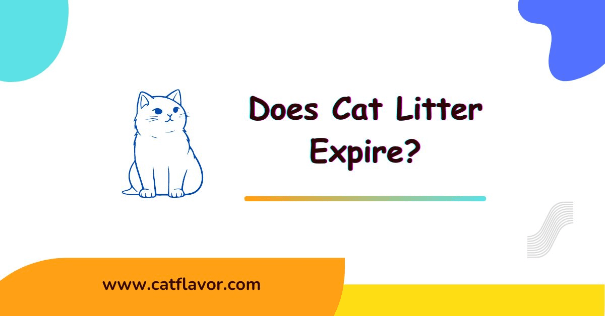Does Cat Litter Expire