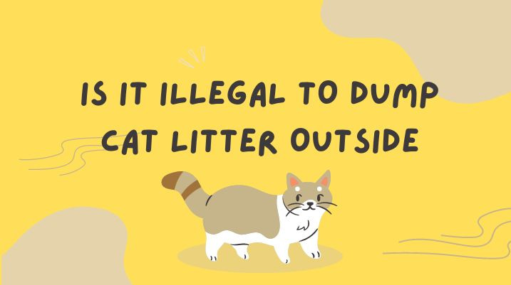 Is It Illegal To Dump Cat Litter