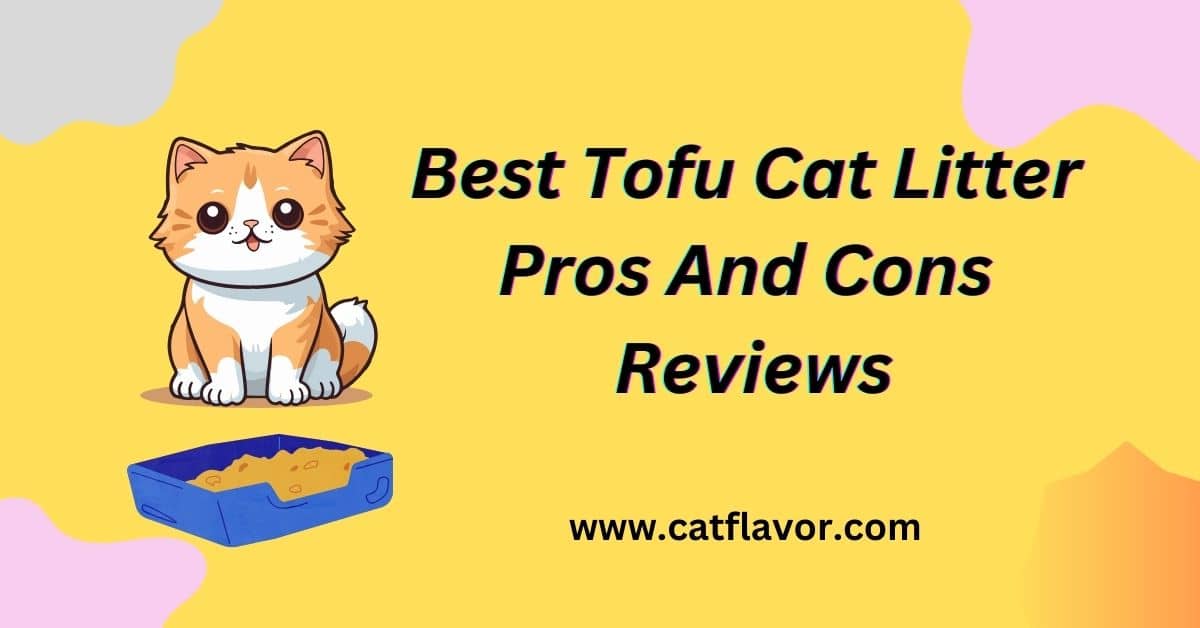 Tofu Cat Litter Pros And Cons