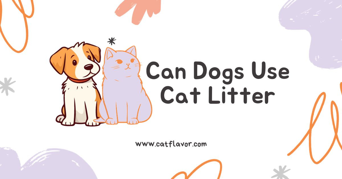 Can Dogs Use Cat Litter