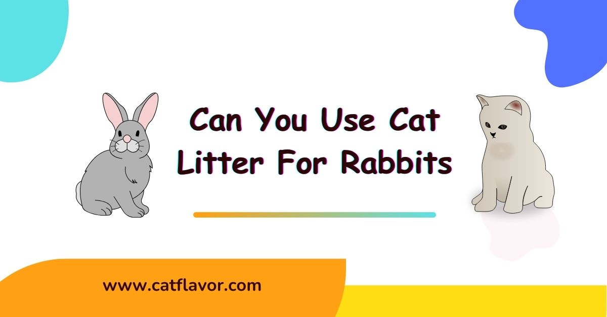 Can You Use Cat Litter For Rabbits